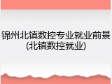 锦州北镇数控专业就业前景(北镇数控就业)
