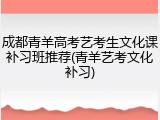 成都青羊高考艺考生文化课补习班推荐(青羊艺考文化补习)