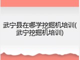 武宁县在哪学挖掘机培训(武宁挖掘机培训)