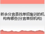 新余分宜县找单招集训的机构有哪些(分宜单招机构)