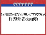 铜川耀州农业技术学校怎么样(耀州农校如何)