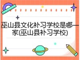 巫山县文化补习学校是哪一家(巫山县补习学校)