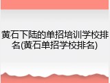 黄石下陆的单招培训学校排名(黄石单招学校排名)