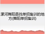 漯河舞阳县找单招集训的地方(舞阳单招集训)