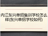 内江东兴单招集训学校怎么样(东兴单招学校如何)