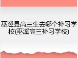巫溪县高三生去哪个补习学校(巫溪高三补习学校)