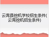 云霄县挖机学校招生条件(云霄挖机招生条件)