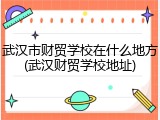 武汉市财贸学校在什么地方(武汉财贸学校地址)