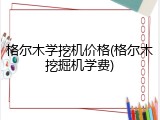 格尔木学挖机价格(格尔木挖掘机学费)