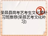 荣昌县高考艺考生文化课补习班推荐(荣昌艺考文化补习)