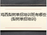 鸡西梨树单招培训班有哪些(梨树单招培训)