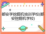 都安学挖掘机培训学校(都安挖掘机学校)
