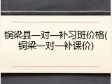铜梁县一对一补习班价格(铜梁一对一补课价)