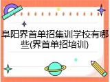阜阳界首单招集训学校有哪些(界首单招培训)