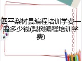 四平梨树县编程培训学费一般多少钱(梨树编程培训学费)