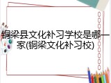 铜梁县文化补习学校是哪一家(铜梁文化补习校)