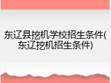 东辽县挖机学校招生条件(东辽挖机招生条件)