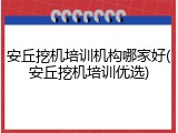 安丘挖机培训机构哪家好(安丘挖机培训优选)