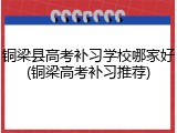 铜梁县高考补习学校哪家好(铜梁高考补习推荐)