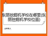 东丽挖掘机学校在哪里(东丽挖掘机学校位置)