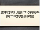 咸丰县挖机培训学校有哪些(咸丰挖机培训学校)