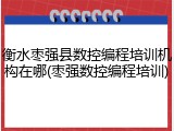 衡水枣强县数控编程培训机构在哪(枣强数控编程培训)