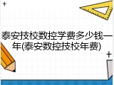 泰安技校数控学费多少钱一年(泰安数控技校年费)
