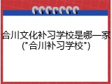 合川文化补习学校是哪一家("合川补习学校")