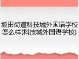坂田街道科技城外国语学校怎么样(科技城外国语学校)