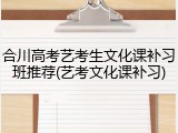 合川高考艺考生文化课补习班推荐(艺考文化课补习)