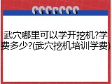 武穴哪里可以学开挖机?学费多少?(武穴挖机培训学费)