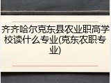 齐齐哈尔克东县农业职高学校读什么专业(克东农职专业)