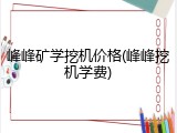 峰峰矿学挖机价格(峰峰挖机学费)