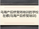 乌海产后修复师培训的学校在哪(乌海产后修复培训)