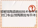 邯郸馆陶县数控技术专升本对口专业(馆陶数控专升本)