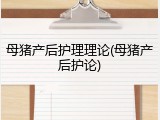 母猪产后护理理论(母猪产后护论)