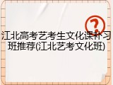 江北高考艺考生文化课补习班推荐(江北艺考文化班)