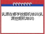 乳源在哪学挖掘机培训(乳源挖掘机培训)