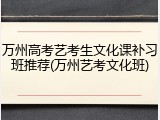 万州高考艺考生文化课补习班推荐(万州艺考文化班)