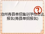 沧州青县单招集训学校怎么报名(青县单招报名)