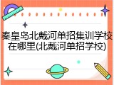 秦皇岛北戴河单招集训学校在哪里(北戴河单招学校)