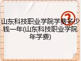 山东科技职业学院学费多少钱一年(山东科技职业学院年学费)