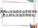 双鸭山友谊县农业职高学校怎么报名(友谊农高报名)