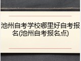 池州自考学校哪里好自考报名(池州自考报名点)