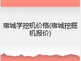 宿城学挖机价格(宿城挖掘机报价)