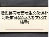 澄迈县高考艺考生文化课补习班推荐(澄迈艺考文化课辅导)