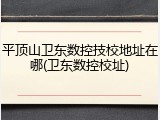 平顶山卫东数控技校地址在哪(卫东数控校址)