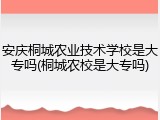 安庆桐城农业技术学校是大专吗(桐城农校是大专吗)