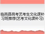 临高县高考艺考生文化课补习班推荐(艺考文化课补习)