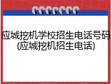 应城挖机学校招生电话号码(应城挖机招生电话)